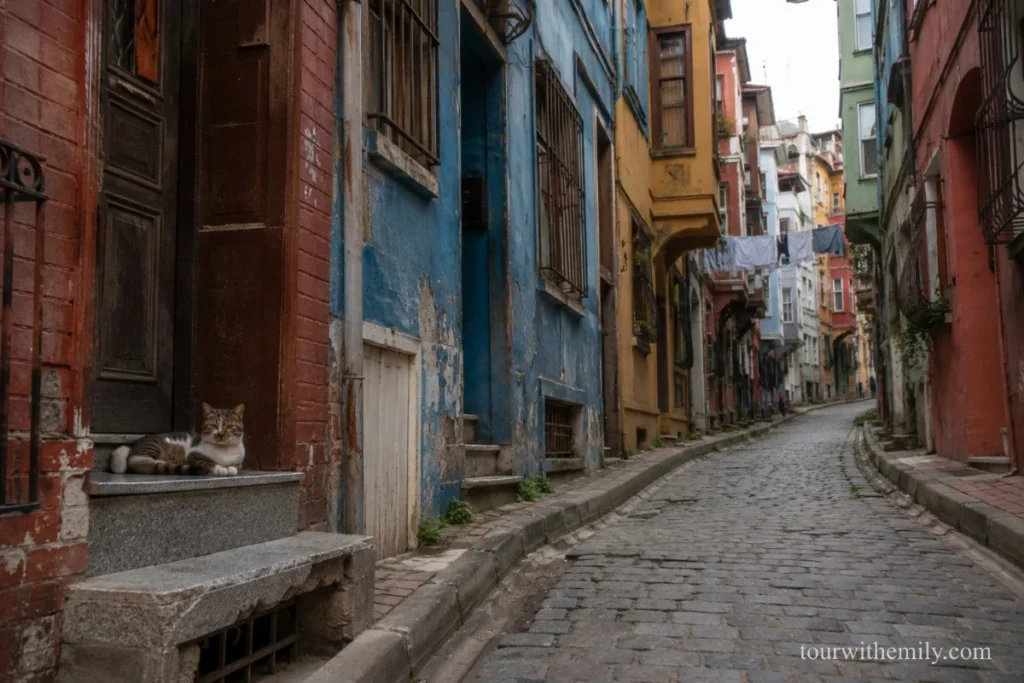 Colorful painted Ottoman houses on a cobbled street in Balat Istanbul with a street cat sitting in a doorway