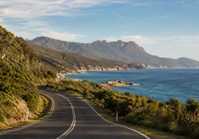 Best Time to Visit Tasmania: A Month-by-Month Guide