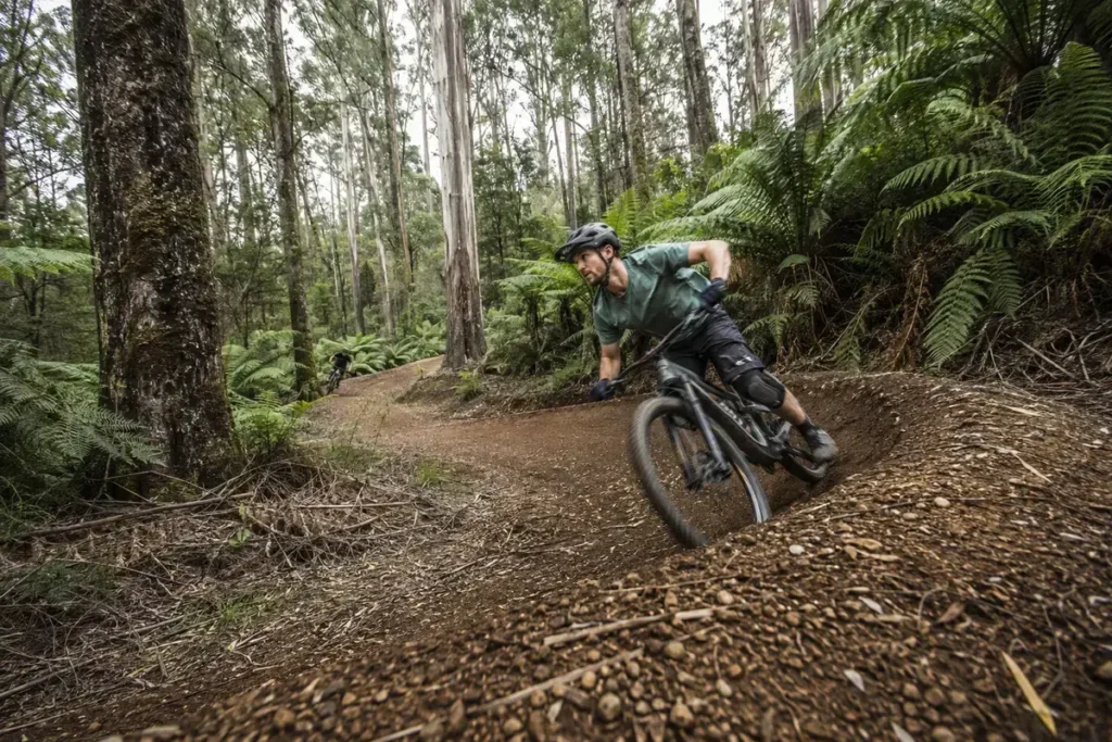 Mountain biker riding a forest trail at Blue Derby Tasmania
