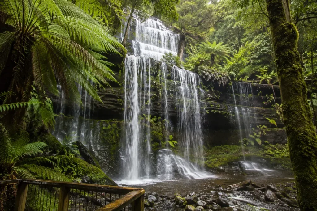 Russell Falls surrounded by rainforest in Mount Field National Park