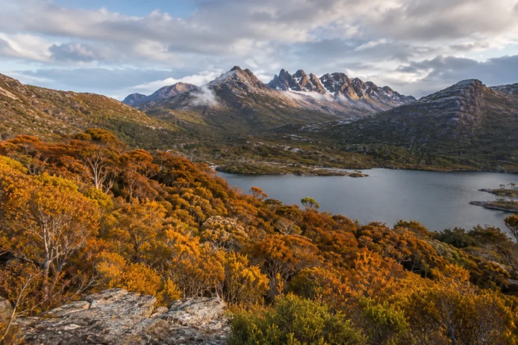 Autumn fagus colours at Cradle Mountain Tasmania